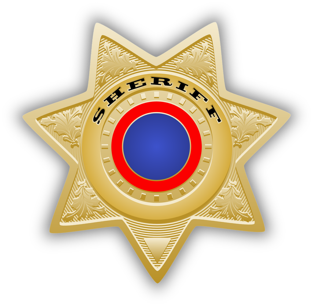 An image showcasing the Dublin Division of Police emblem against a backdrop of the city's iconic landmarks